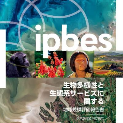 IPBES生物多様性と生態系サービスに関する地球規模評価報告書 政策決定